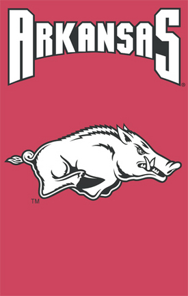 Arkansas Razorbacks NCAA Applique Banner Flag