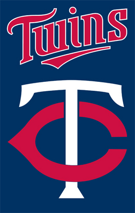 Minnesota Twins MLB Applique Banner Flag