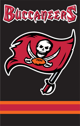 Tampa Bay Buccaneers NFL Applique Banner Flag