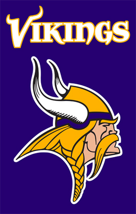 Minnesota Vikings NFL Applique Banner Flag