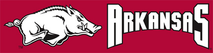 Arkansas Razorbacks NCAA 8-Foot Banner