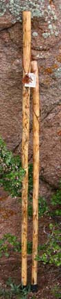 48" "Desert Candle" Sotol Hiking Staff 