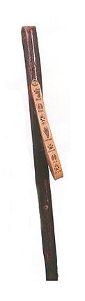 54" Tracker Series&trade; Hickory Adult Hiking and Walking Stick with Paw Print Leather Strap