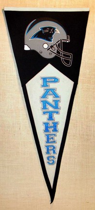 Carolina Panthers