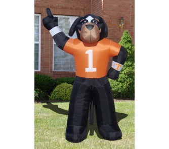 tennessee volunteers smokey 8
