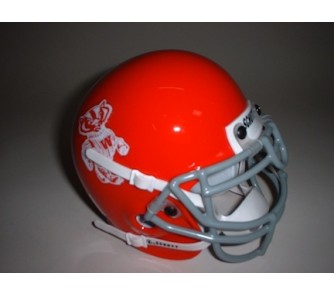Wisconsin Badgers (1969) Mini Throwback Football Helmet from Schutt ...