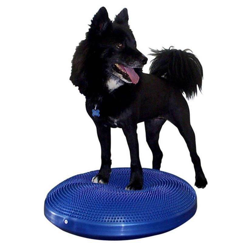 FitPAWS® BLUE Balance Disc Dog Fitness & Canine Rehab Equipment (14