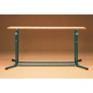 100 Series Parallel Bars from American Athletic