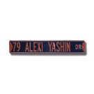 Steel Street Sign:  "79 ALEXI YASHIN DR"