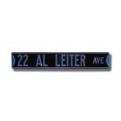 Steel Street Sign: "22 AL LEITER AVE"