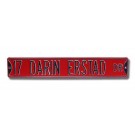 Steel Street Sign: "17 DARIN ERSTAD DR"