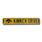 Steel Street Sign:  "KINNICK DRIVE" with Tigerhawk Logo