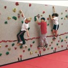 8' H x 20' W Standard Climbing Wall With 100 Groperz Hand Holds from Everlast Climbing