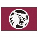 California State (Chico) Wildcats 19" x 30" Starter Mat