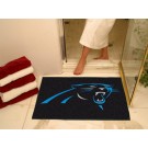 34" x 45" Carolina Panthers All Star Floor Mat