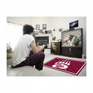 Montana Grizzlies 4' x 6' Area Rug