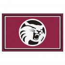 California State (Chico) Wildcats 4' x 6' Area Rug