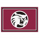 California State (Chico) Wildcats 5' x 8' Area Rug