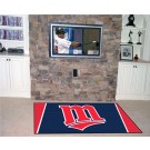 Minnesota Twins 4' x 6' Area Rug