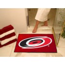 Carolina Hurricanes 34" x 45" All Star Floor Mat