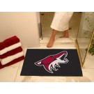 Phoenix Coyotes 34" x 45" All Star Floor Mat