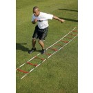 Web Agility Training Ladder