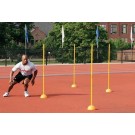 Agility Poles