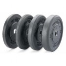 10 lb. Solid Rubber Bumper Plates - 1 Pair