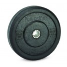 25 lb. Solid Rubber Plates - 1 Pair