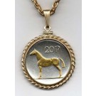 Irish 20 Pence "Horse" Two Tone Rope Bezel Coin Pendant with 24" Chain