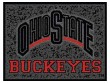 Ohio State Buckeyes 18" x 24" Small Entry Mat - TSR-OSEM110